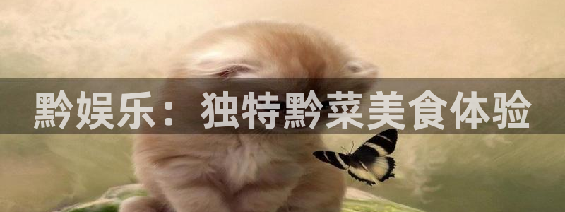 益达娱乐.ccmpc正版官网版下载