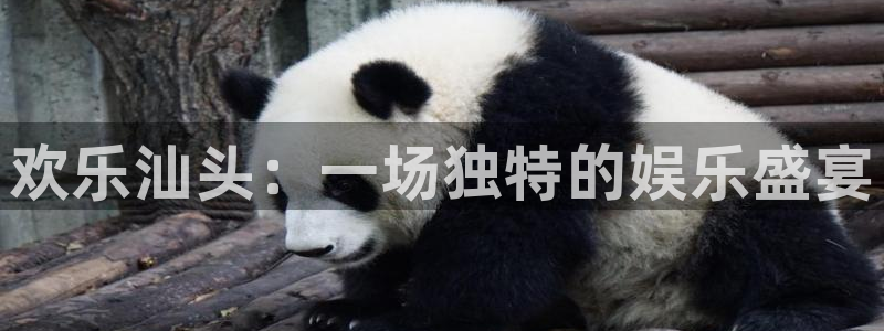 壹号大舞台娱乐app下载安装