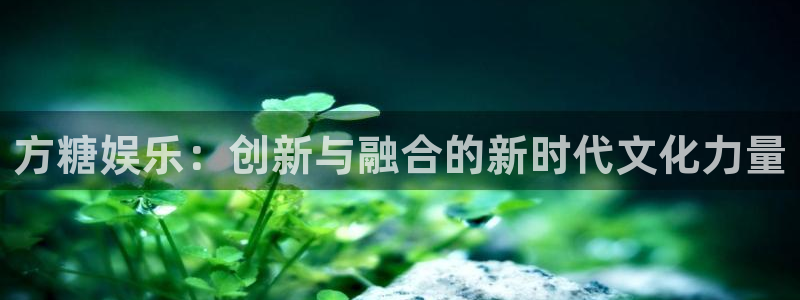 壹号下载安装