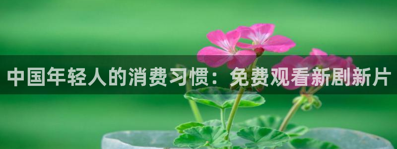 壹号app官网