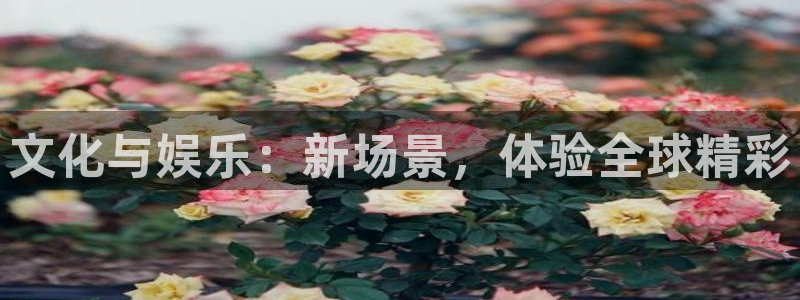 益达娱乐账号注册入口