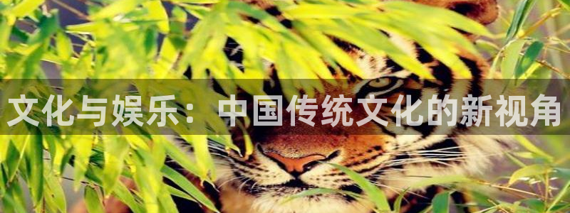 益达娱乐科技赋能,让平台更有趣