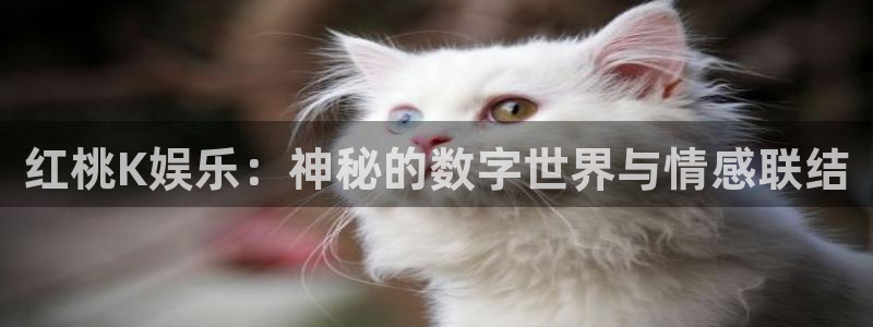 益达娱乐-ng大舞台,有梦你就来：红桃K娱乐：神秘的数字世界与情感联结