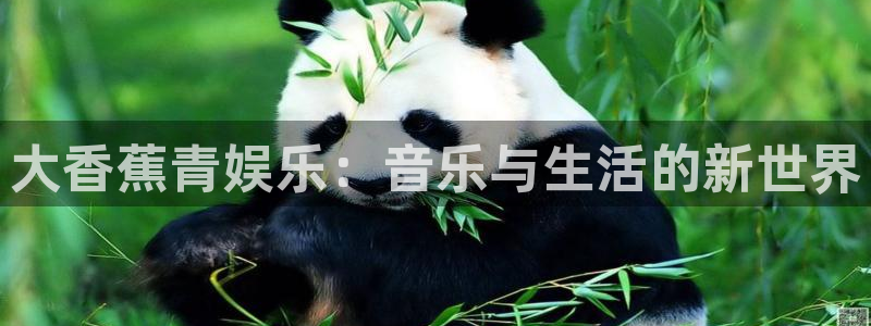益达娱乐.ccmpc29官网版下载
