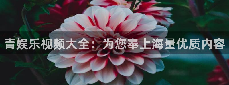 益达娱乐app最新版