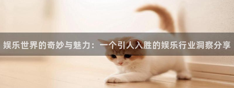 壹号大舞台娱乐传媒：娱乐世界的奇妙与魅力：一个引人入胜的娱乐行业洞察分享
