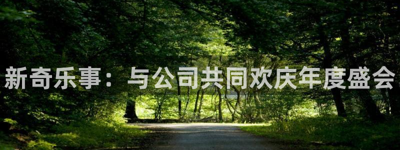 益达娱乐下载并安装：新奇乐事：与公司共同欢庆年度盛会