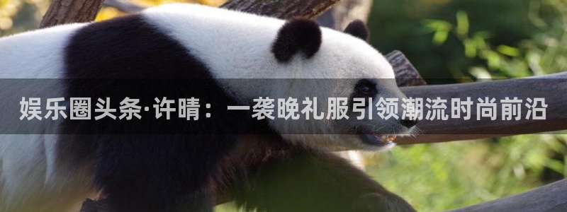 益达娱乐app下载官网：娱乐圈头条·许晴：一袭晚礼服引领潮流时尚前沿